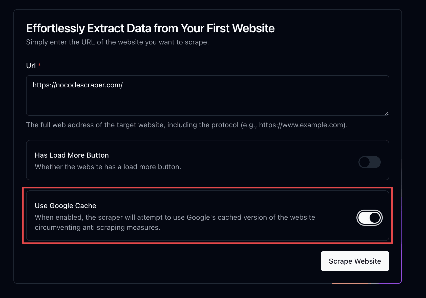 Google Cache Option